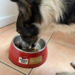 Werbeartikel - Doppelherz Hundenapf