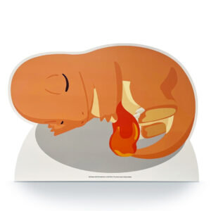 Standfigur Pokemon Glumanda